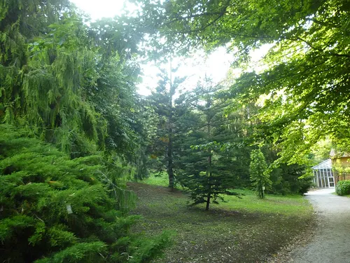 Orto Botanico di Roma